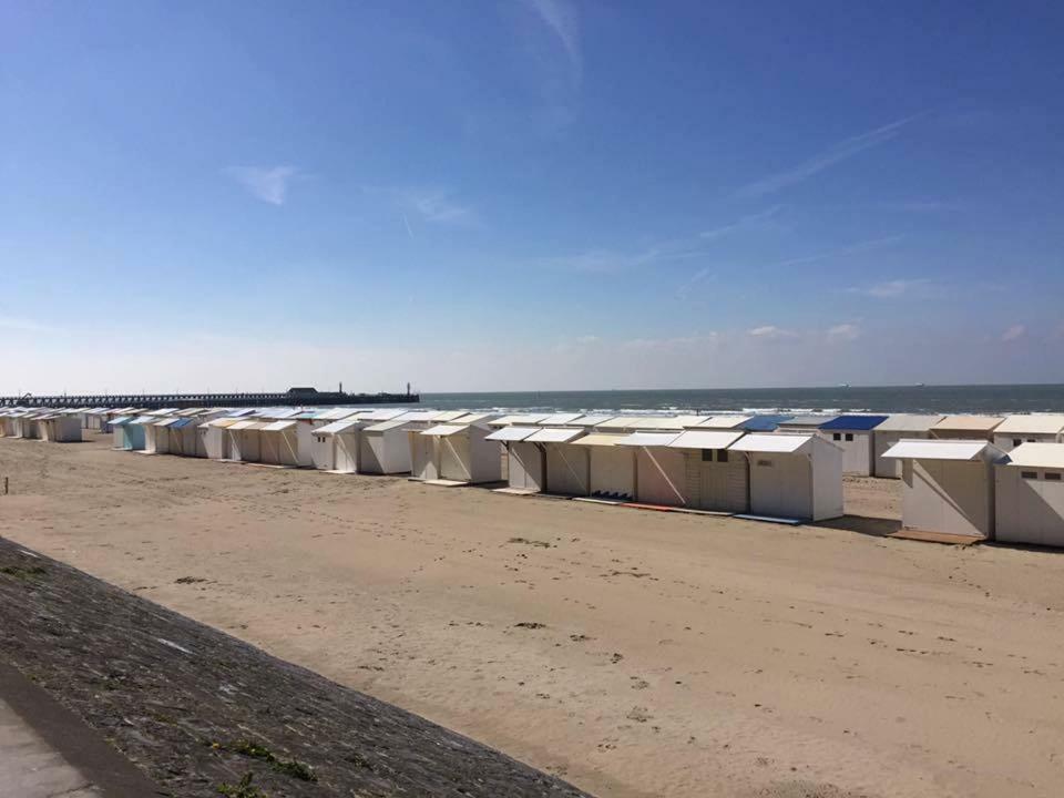 Ferienwohnung Casinostraat 16/67 Blankenberge Exterior foto